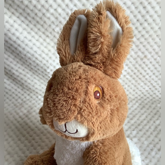 Peter Rabbit Beatrix Potter Plush Bunny Rabbit Stuffed Animal Embroidered Eyes - Picture 7 of 13